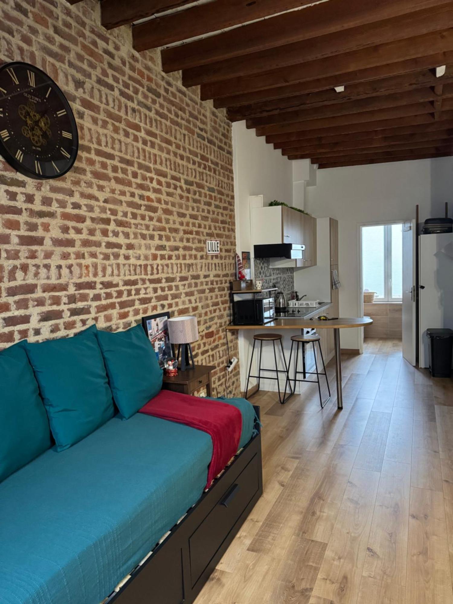 L'Ile Aux Ch'Tis Apartment Lille Luaran gambar