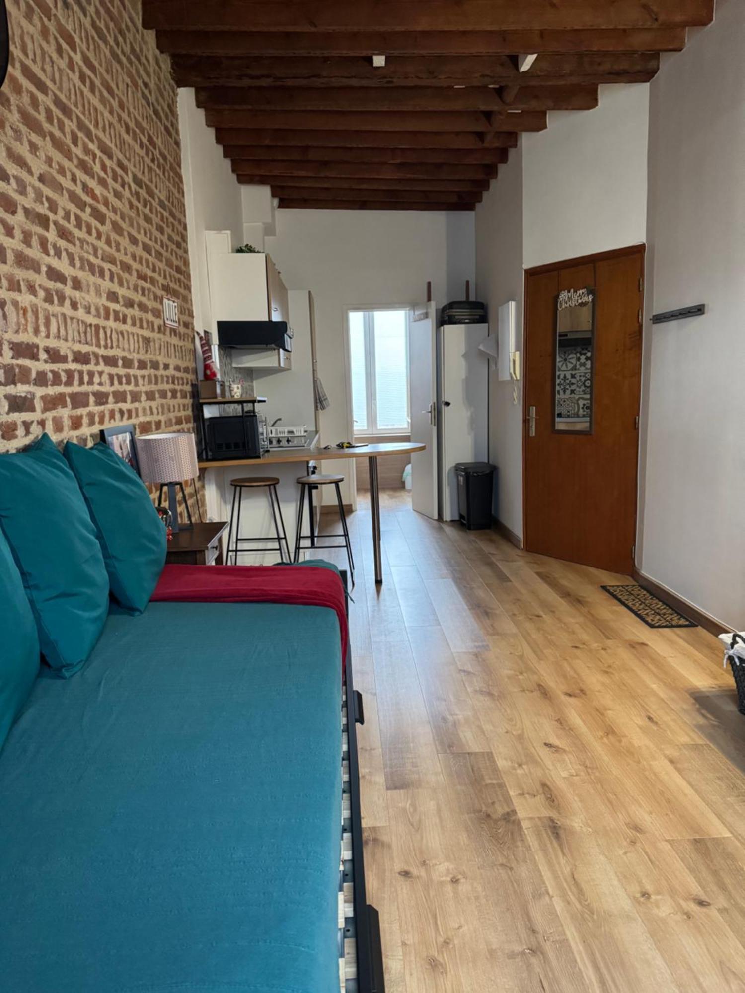 L'Ile Aux Ch'Tis Apartment Lille Luaran gambar